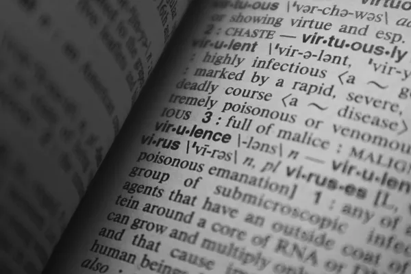 Englisch in akademischen Texten: False Friends sicher vermeiden